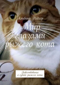 Альбина Редхер - Мир глазами рыжего кота. Повествование о судьбе рыжего кота