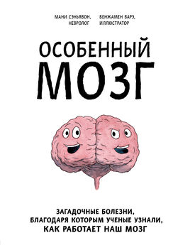 Светлана Кузина - Всё, что мозг хотел знать про мозг
