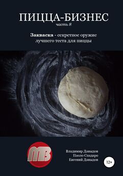 Владимир Давыдов - Учебник пиццайоло