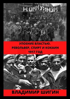 Владимир Шигин - В огне братоубийственной резни… 1918-1919 годы