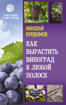 Николай Курдюмов - Экодача – безопасный урожай. Курс органического земледелия для начинающих