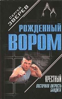 Сергей Зверев - Пепел врага