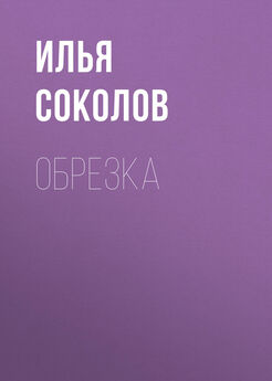 Илья Соколов - Обрезка