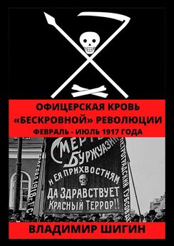 Владимир Шигин - Упоение властью. Револьвер, спирт и кокаин. 1917 год