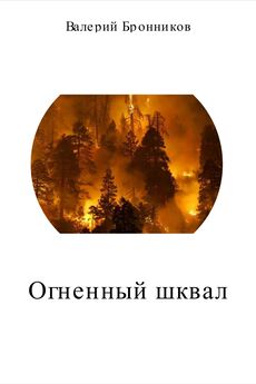 Валерий Бронников - Огненный шквал