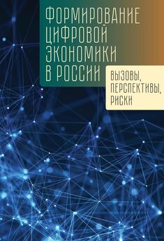 Коллектив авторов - Формирование цифровой экономики в России: вызовы, перспективы, риски