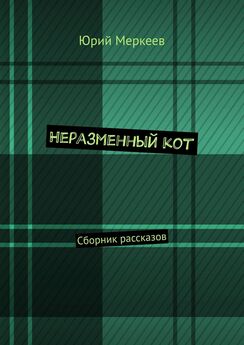 Юрий Меркеев - Неразменный кот. Сборник рассказов