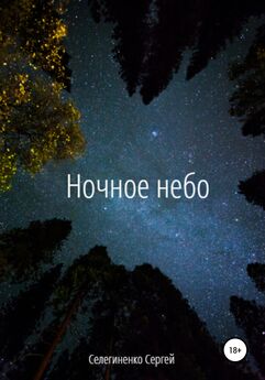 Сергей Селегиненко - Ночное небо