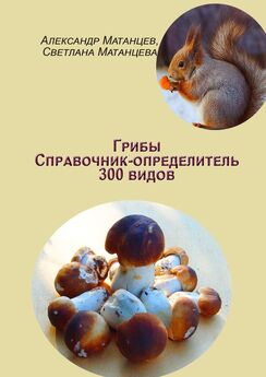 Светлана Матанцева - Лечебные и полезные свойства грибов. Справочник-определитель по лечебным грибам