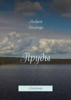 Андрей Богачук - Над Землёй