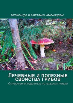 Светлана Матанцева - Лечебные и полезные свойства грибов. Справочник-определитель по лечебным грибам