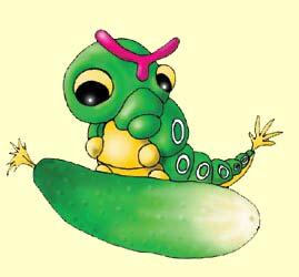 Эта зеленая гусеница величиной с огурец самый бесполезный из покемонов - фото 10