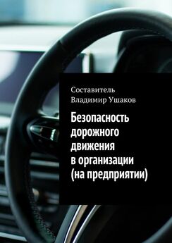 Владимир Ушаков - Безопасность дорожного движения в организации (на предприятии)