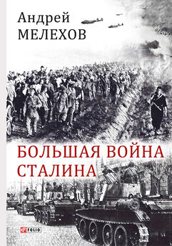Андрей Мелехов - Большая война Сталина