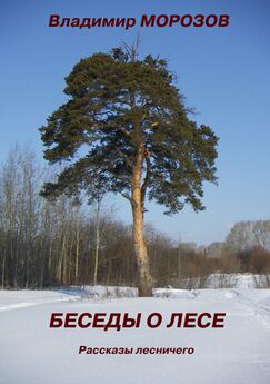 Владимир Морозов - Беседы о лесе. Рассказы лесничего