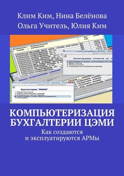 Клим Ким - Компьютеризация бухгалтерии ЦЭМИ – теория и практика
