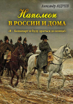 Максим Андреев - Наполеон в России и дома. «Я – Бонапарт и буду драться до конца!»