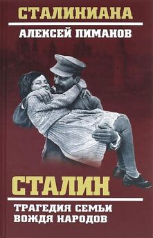 Виталий Павлов - Сталин. Трагедия семьи вождя народов