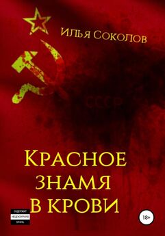 Илья Соколов - Красное знамя в крови
