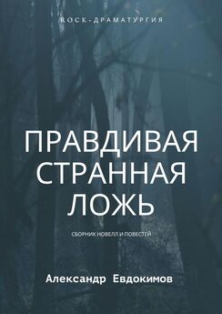 Александр Евдокимов - Правдивая странная ложь