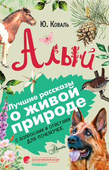 Виталий Бианки - Рассказы и сказки о животных. С вопросами и ответами для почемучек