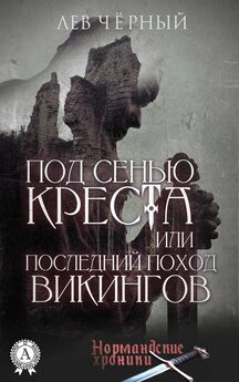 Дмитрий Пучков - Викинги. История эпохи. 793–1066