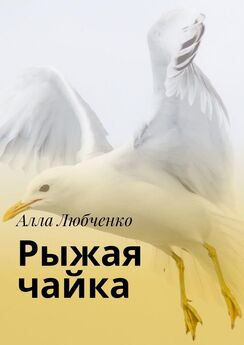 Алла Любченко - Рыжая чайка