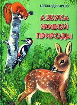 Александр Барков - Азбука живой природы