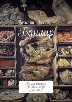Веда Талагаева - Колдовские камни. Книга 2. Нехоженая земля
