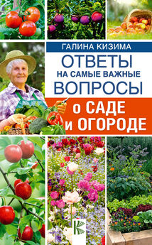 Галина Кизима - Ответы на самые важные вопросы о саде и огороде