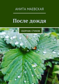 Анита Маевская - После дождя. Сборник стихов