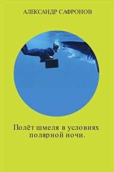 Александр Сафронов - Полёт шмеля в условиях полярной ночи. Сборник рассказов
