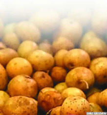 Чтобы этого не допустить приходится подкармливать кусты картофеля аммиачной - фото 43