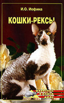 Олеся Пухова - Британские короткошерстные кошки
