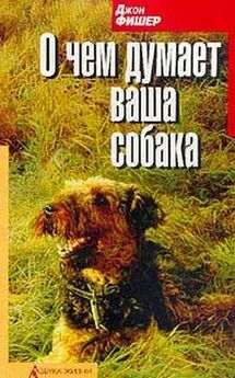 Валерий Высоцкий - Собака сопровождения