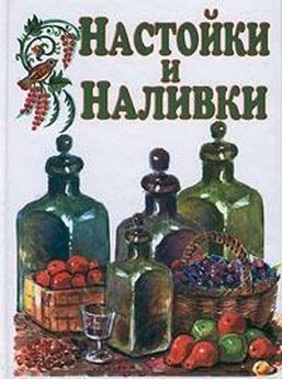 Ольга Ивенская - Домашний самогон, настойки, наливки и другие любимые напитки