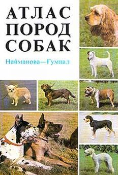 Сэм Столл - 100 собак, которые изменили цивилизацию: Самые знаменитые в истории собаки