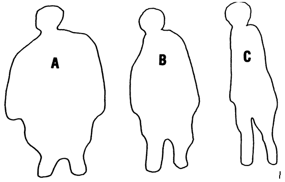 рис4 Диаграмма изменения формы человеческого тела в течение Великого Года а - фото 5