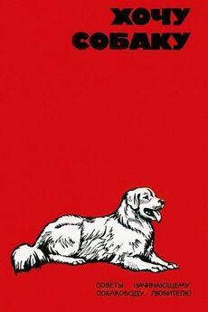 В. Шестаков - Хочу собаку. Советы начинающему собаководу-любителю (Сборник)