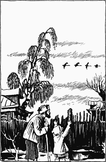 Лебеди и гуси Таня стояла у палисадника и глядела в небо на лиловые тучки - фото 2