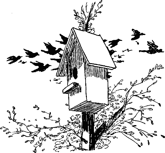 Ждет гостей высокий клен Дом на ветке укреплен Краской выкрашена крыша - фото 15
