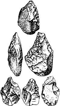 Предки человека делали каменные орудия в течение 24 млн лет Обязательно ли - фото 4