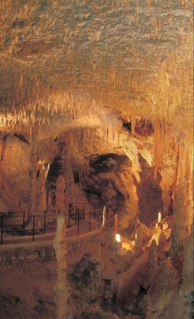 В гроте Дворянинагорца Следующая пещера Пивка 8Pivka jama находится в - фото 13