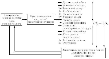 Рис 14Принципиальная схема типичной функциональной системы на примере - фото 3