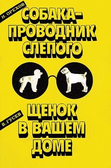 Сергей Литовкин - Собака на любителя