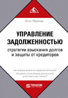 Олеся Бирюкова - Приемы антикризисного менеджмента