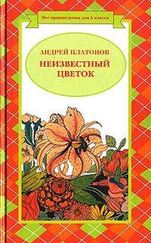 Андрей Платонов - Цветок на земле