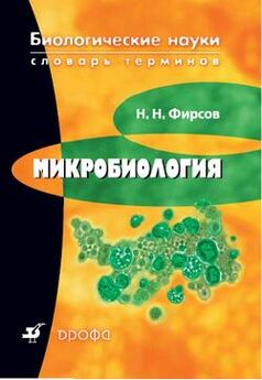 Олег Коровкин - Анатомия и морфология высших растений