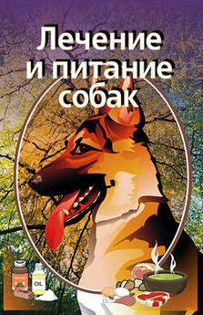 Илья Мельников - Уход за старой собакой