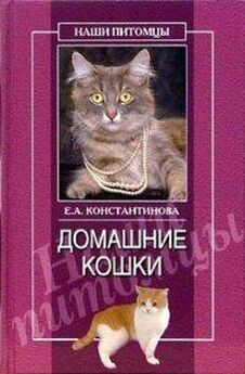 Елена Филиппова - Воспитание котят